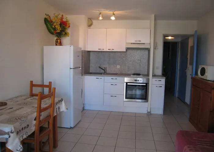 T2 Avec 5 Couchages, Piscine, Tennis, Proche Et Port, Animaux Admis - Saint-cyprien - Fr-1-106-47 Saint-Cyprien (Pyrenees-Orientales)