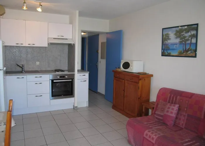 Lejlighed T2 Avec 5 Couchages, Piscine, Tennis, Proche Et Port, Animaux Admis - Saint-cyprien - Fr-1-106-47 *