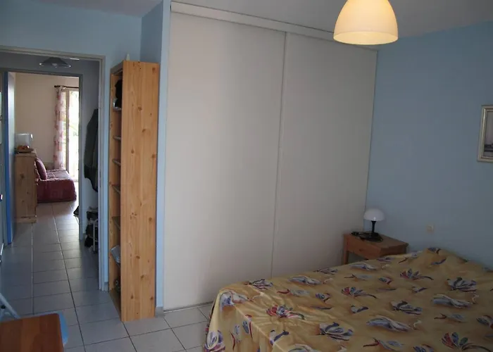 T2 Avec 5 Couchages, Piscine, Tennis, Proche Et Port, Animaux Admis - Saint-cyprien - Fr-1-106-47